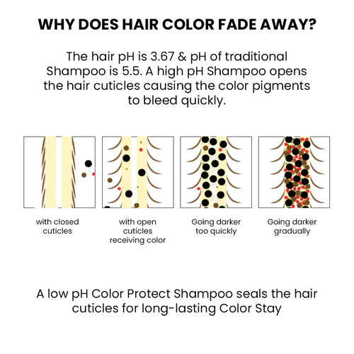 ThriveCo Color Protection Shampoo For Dye & Color Treated Hair | Grocsy