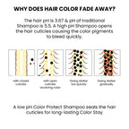 ThriveCo Color Protection Shampoo For Dye & Color Treated Hair | Grocsy