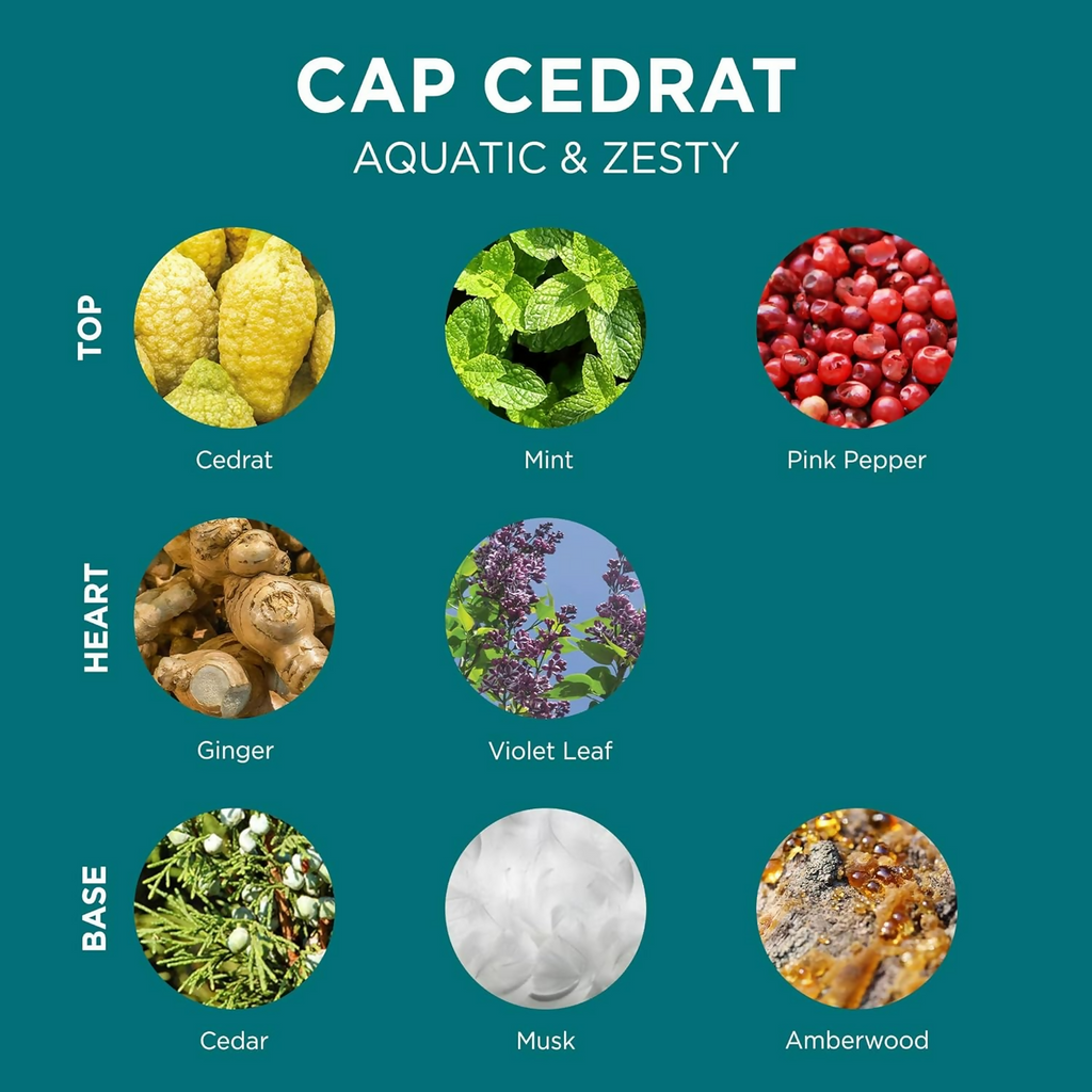 L'Occitane Cap Cedrat Shower Gel | Grocsy