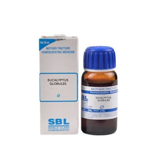 SBL Homeopathy Eucalyptus Globules Mother Tincture Q | Grocsy