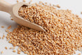 Grammy's Whole Wheat | Grocsy