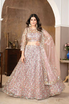 Eilara Light Peach Colour Designer Sequence Work On Net Lehenga Choli | Grocsy