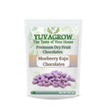 Yuvagrow Blueberry Kaju Chocolates | Grocsy