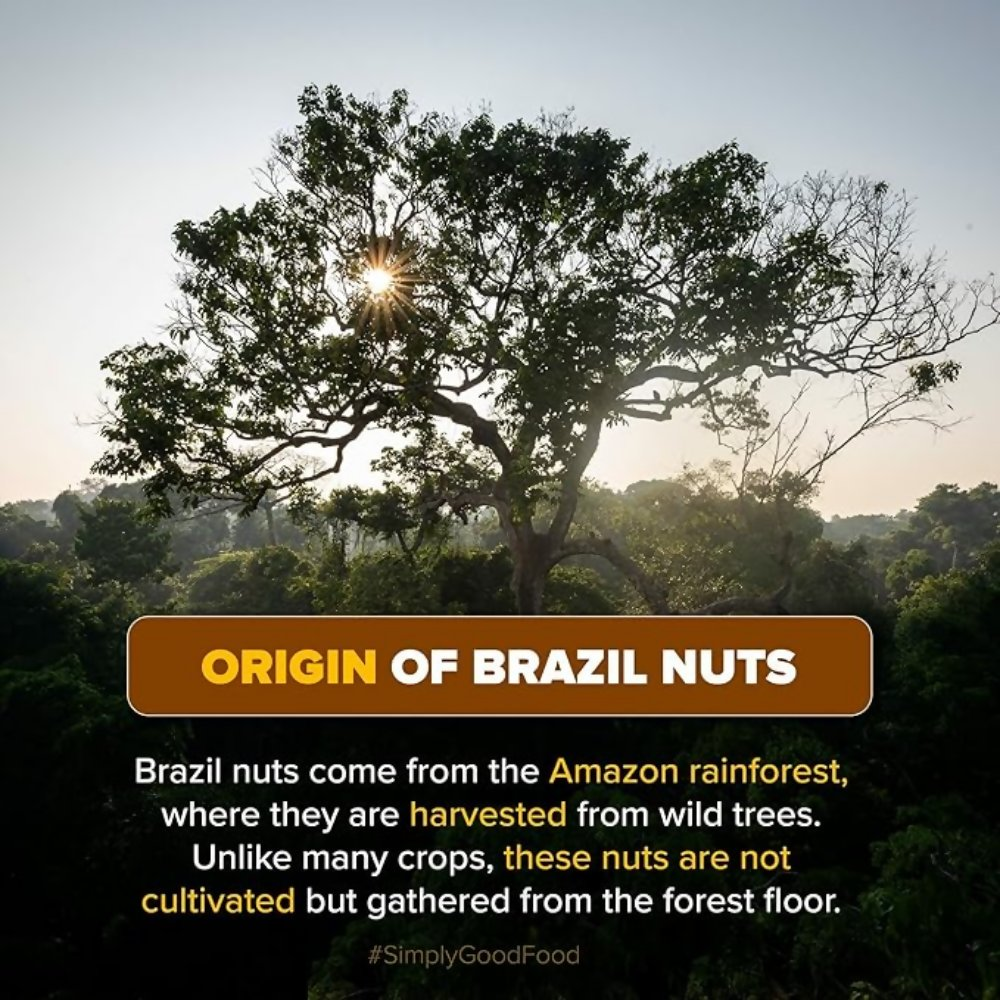 Urban Platter Brazil Nuts | Grocsy