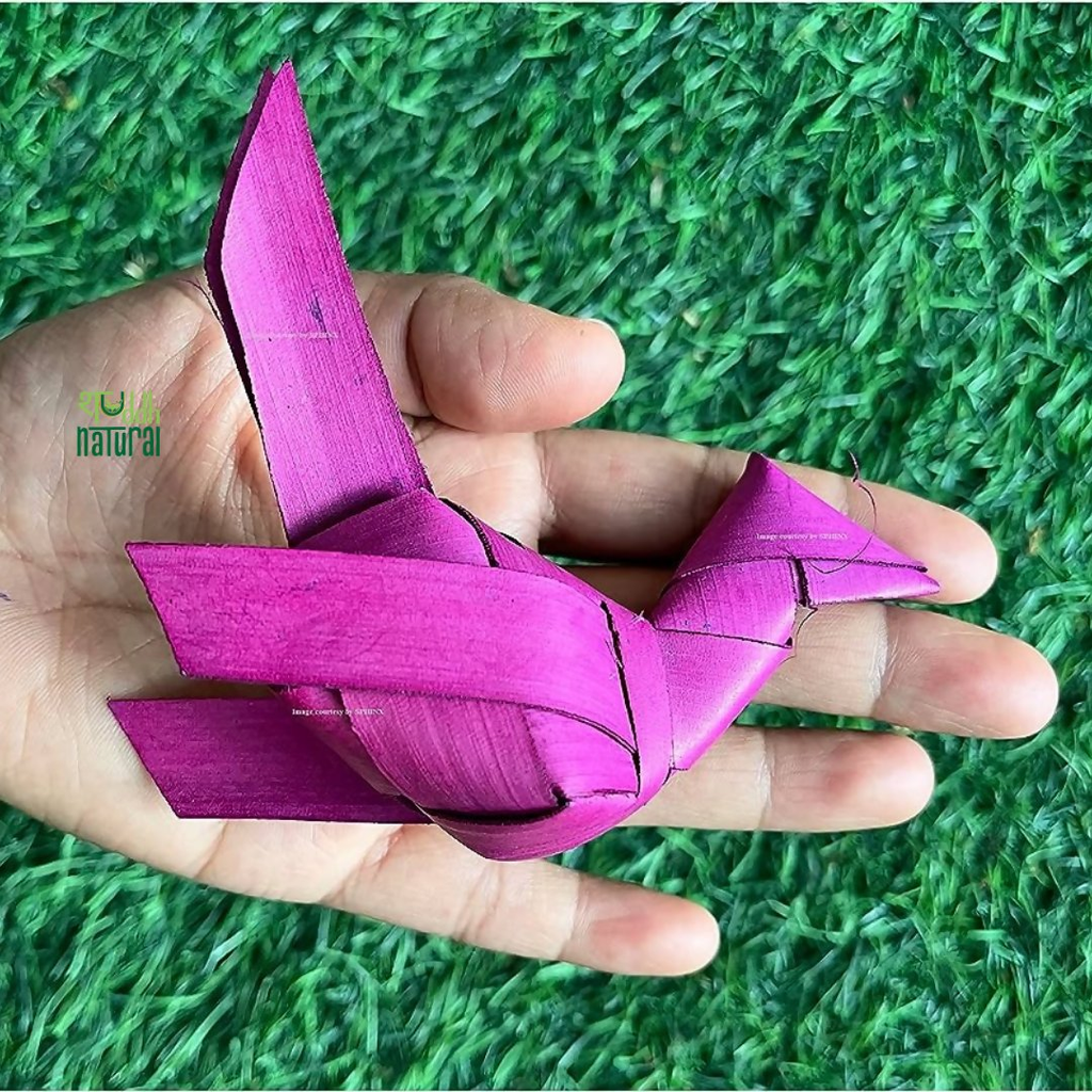 Shuddh Natural Hand Made Palm Leaf Parrot in Ring Hanging | Grocsy