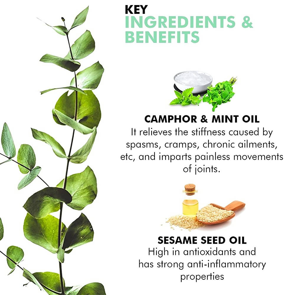 Inatur Karpooradi Oil | Grocsy