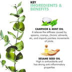 Inatur Karpooradi Oil | Grocsy