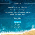 Aqualogica Hydrate+ Plump Lip Mask | Grocsy