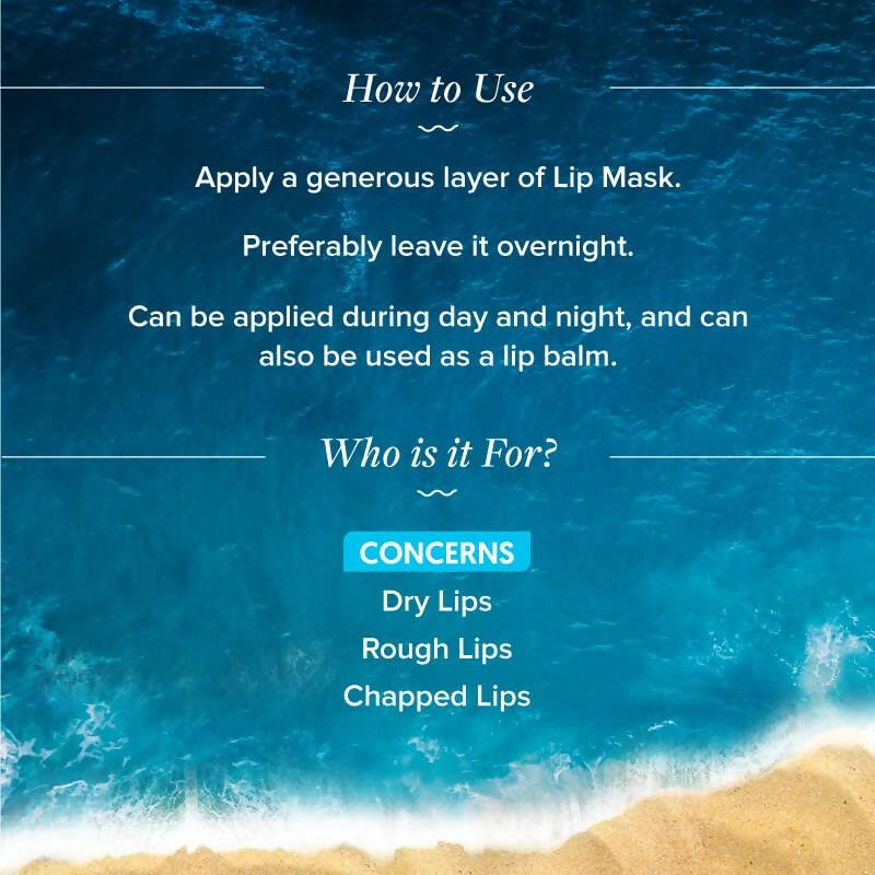 Aqualogica Hydrate+ Plump Lip Mask | Grocsy