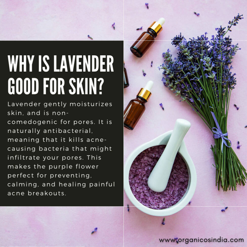 Organicos Lavender Face Cleanser | Grocsy