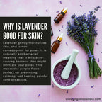 Organicos Lavender Face Cleanser | Grocsy