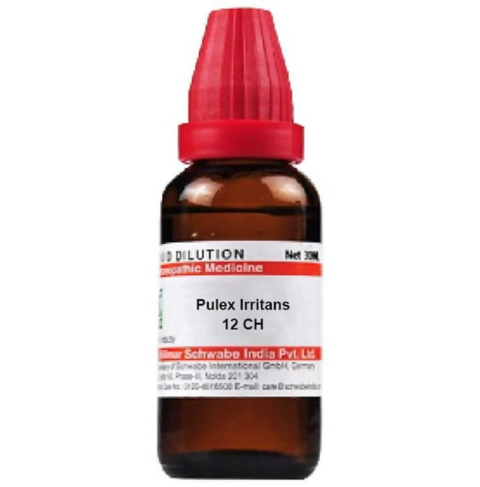 Dr. Willmar Schwabe India Pulex Irritans Dilution | Grocsy