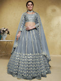 Tulsi Art Gorgeous Grey Foil Work Net Reception Wear Lehenga Choli With Dupatta | Grocsy
