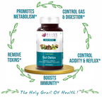 Bliss Welness Gut Detox Veg Tablet | Grocsy