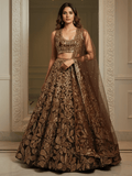 Tulsi Art Elegant Brown Fully Sequins Net Reception Wear Lehenga Choli | Grocsy