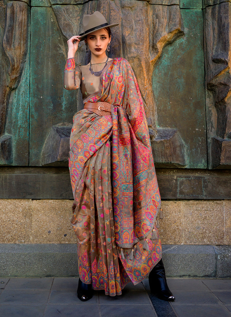 Monjolika Fashion Chikoo Color Kashmiri Organza Pashmina Silk Saree With Blouse | Grocsy