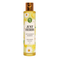 Just Herbs Ayurvedic Dandruff Control Soya Protein Shampoo | Grocsy