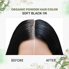 byPureNaturals Organic Pure Natural Powder Hair Color - 2N Soft Black | Grocsy