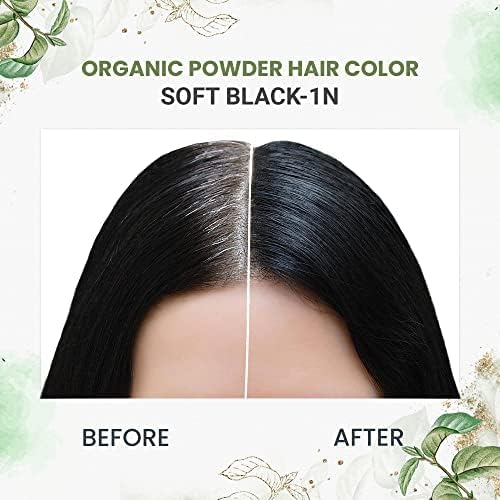 byPureNaturals Organic Pure Natural Powder Hair Color - 2N Soft Black | Grocsy