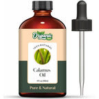 Organic Zing Calamus (Acorus Calamus) Oil | Pure & Natural Essential Oil for Skincare, Hair Care, Aroma & Diffusers | Grocsy