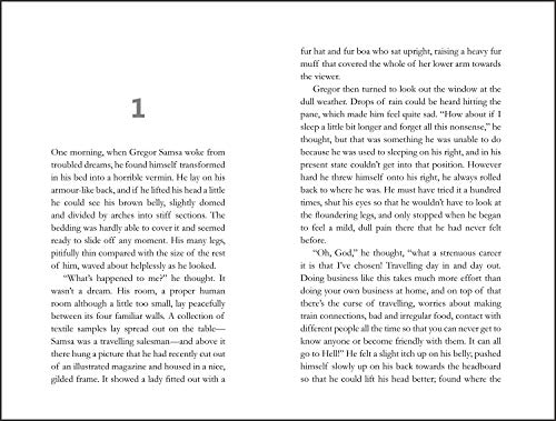 Metamorphosis by Franz Kafka | Grocsy