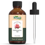 Organic Zing Anthopogon (Rhododendron anthopogon) Oil | Pure & Natural Essential Oil for Skincare, Aroma & Diffusers | Grocsy