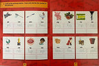 Scholars Hub Reusable And Washable Wipe And Clean Books For Kids (Set Of 3 Books) : Alphabet, Numbers & Words | 48 Pages | Writing Books | Helps Child To Write, Wipe And Write Again. | Grocsy