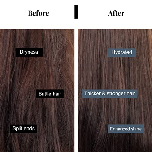 Bare Anatomy Expert Damage Repair Hair Serum, Mask & Shampoo Combo | Grocsy