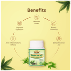 Jaived Ayurveda Giloy Ghan Vati | Grocsy