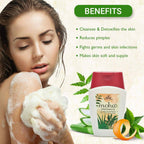 Moha Herbal Shower Gel | Grocsy