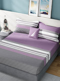 Nautica Bradford Purple & Grey Striped 160 TC Pure Cotton King Bedsheet & 2 Pillow Covers | Grocsy