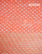 Shades of Marron And Red Creeper Print Semi Chanderi Saree By Gayathri Reddy Designer Studio | Grocsy
