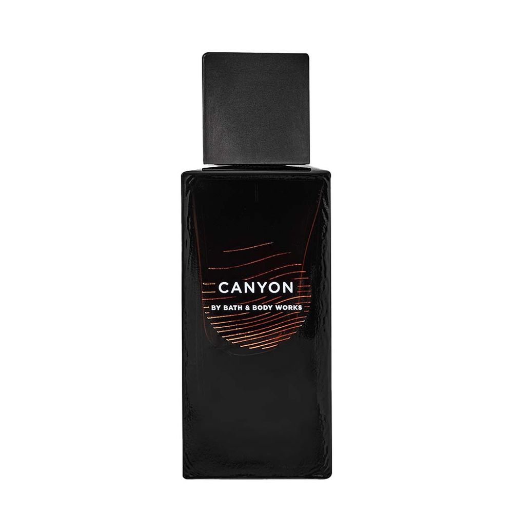 Bath & Body Works Canyon Cologne For Him | Grocsy