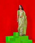 Monjolika Fashion Light Parrot Green Weaving Tissue Zari Classic Saree | Grocsy