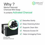 Merlion Naturals Charcoal & Mint Glycerine Soap | Grocsy