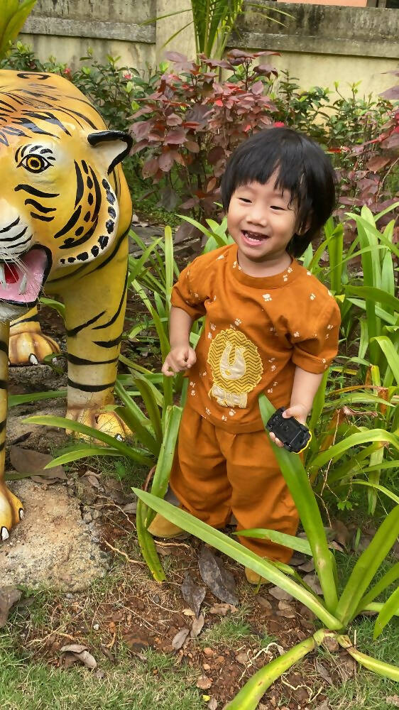 Mhyssa Oscar Half Sleeve Orange and Yellow T-shirt With Full Length Pant Set For Kids | Grocsy