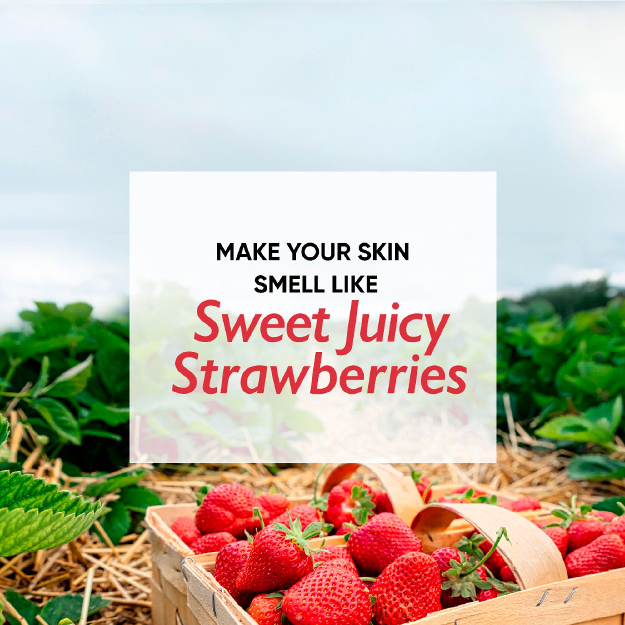 Wanderlust Moisturizing Body Lotion - Strawberry Daiquiri | Grocsy