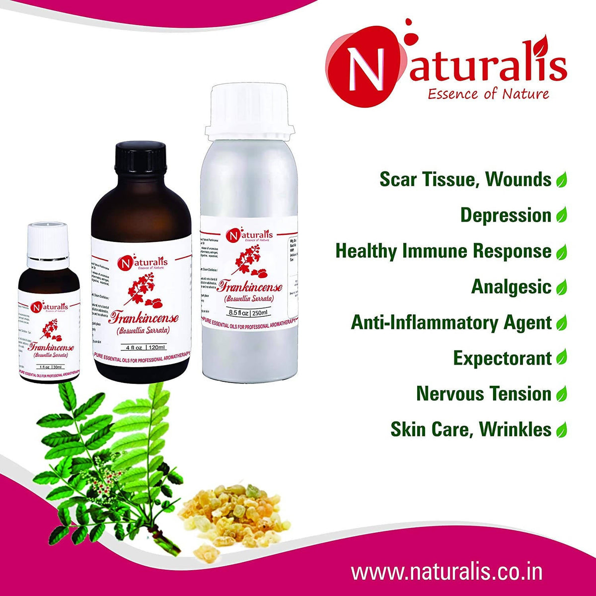 Naturalis Essence of Nature Frankincense Essential Oil | Grocsy