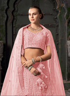 Monjolika Fashion Light pink Net Lehenga Choli In Thread Embroidered | Grocsy