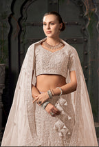 Monjolika Fashion Cream Net Lehenga Choli In Thread Embroidered | Grocsy