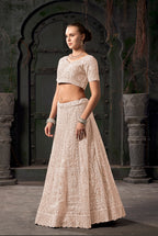 Monjolika Fashion Cream Net Lehenga Choli In Thread Embroidered | Grocsy
