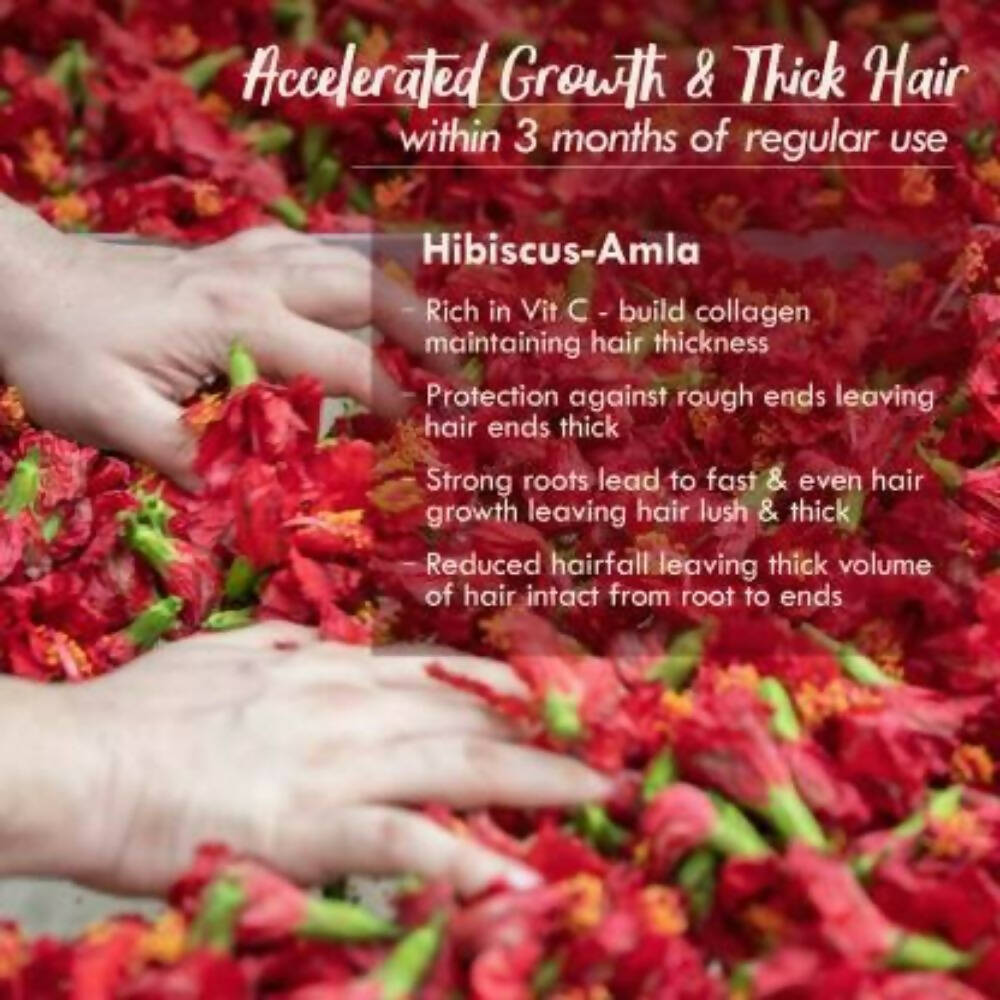 Nat Habit Hibiscus Amla Hair Growth Summer Dasabuti Hair Oil | Grocsy
