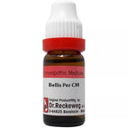 Dr. Reckeweg Bellis Per Dilution | Grocsy