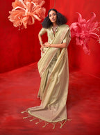 Monjolika Fashion Light Green Tissue Weaving Zari Ceremonial Contemporary Saree | Grocsy