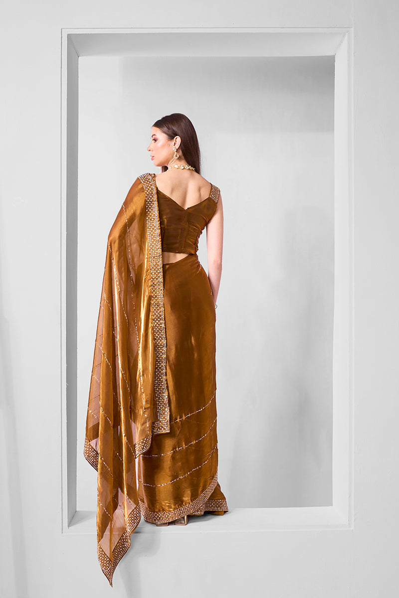 Monjolika Fashion Brown Jimmy Chu Embroidered Classic Saree | Grocsy
