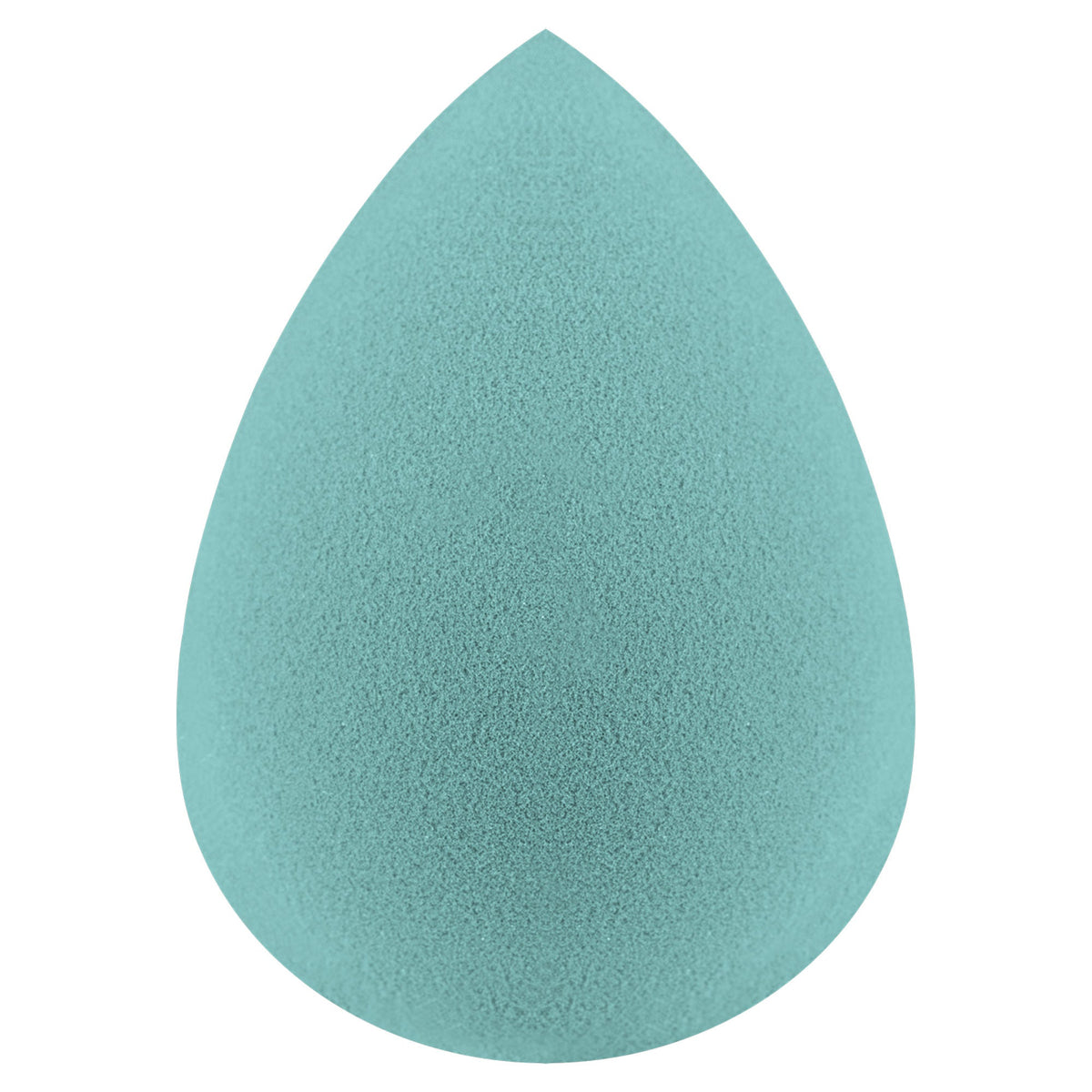 Miss Claire Beauty Blender - Arctic | Grocsy