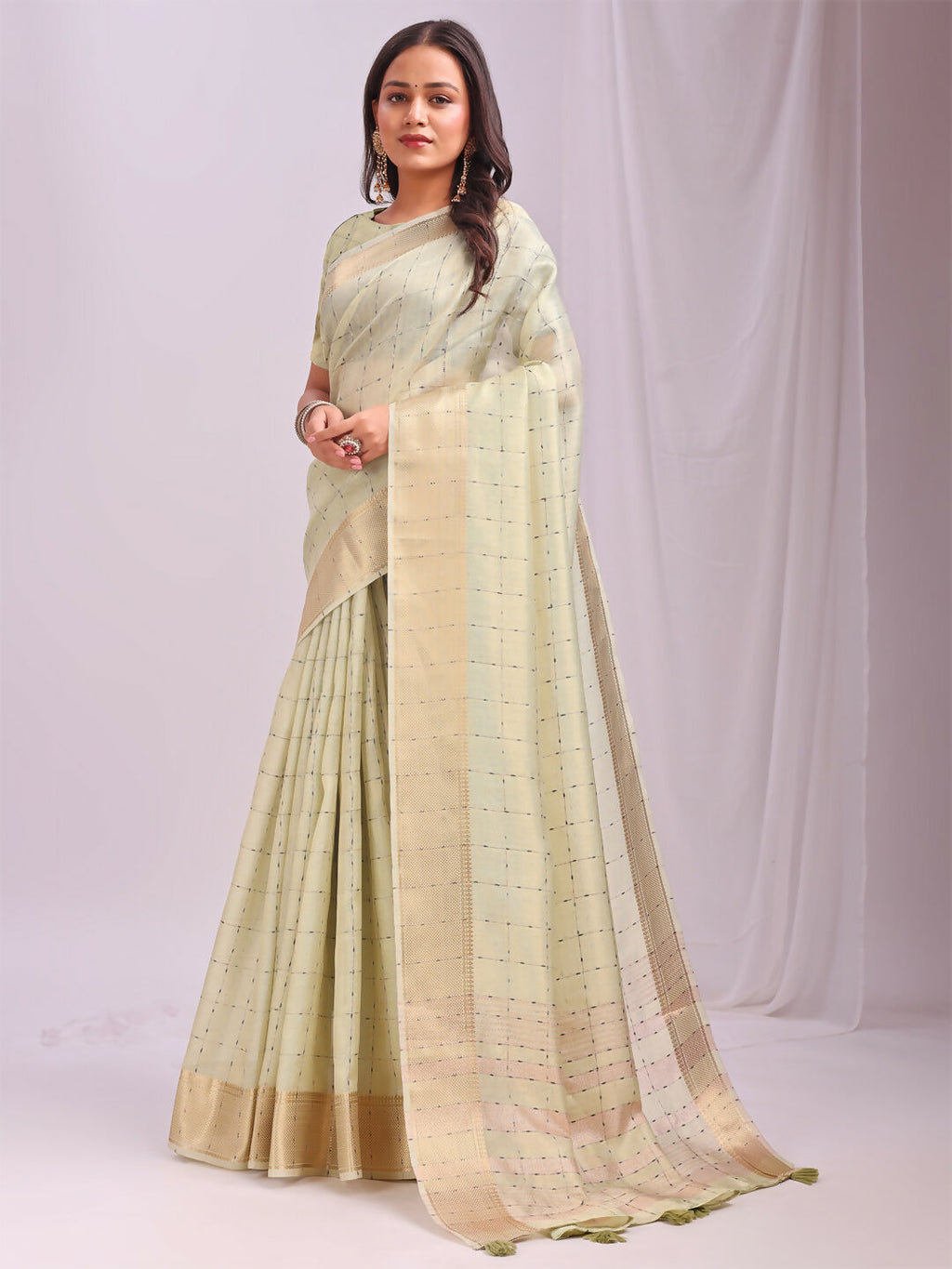 Shree Shyam Fashion Organza Light Green Saree | Grocsy