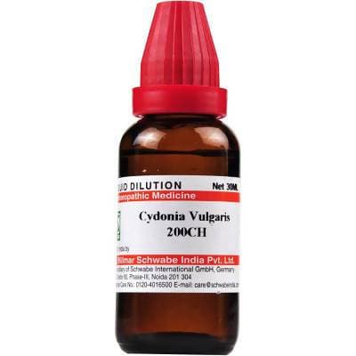 Dr Willmar Schwabe India Cydonia Vulgaris Dilution | Grocsy