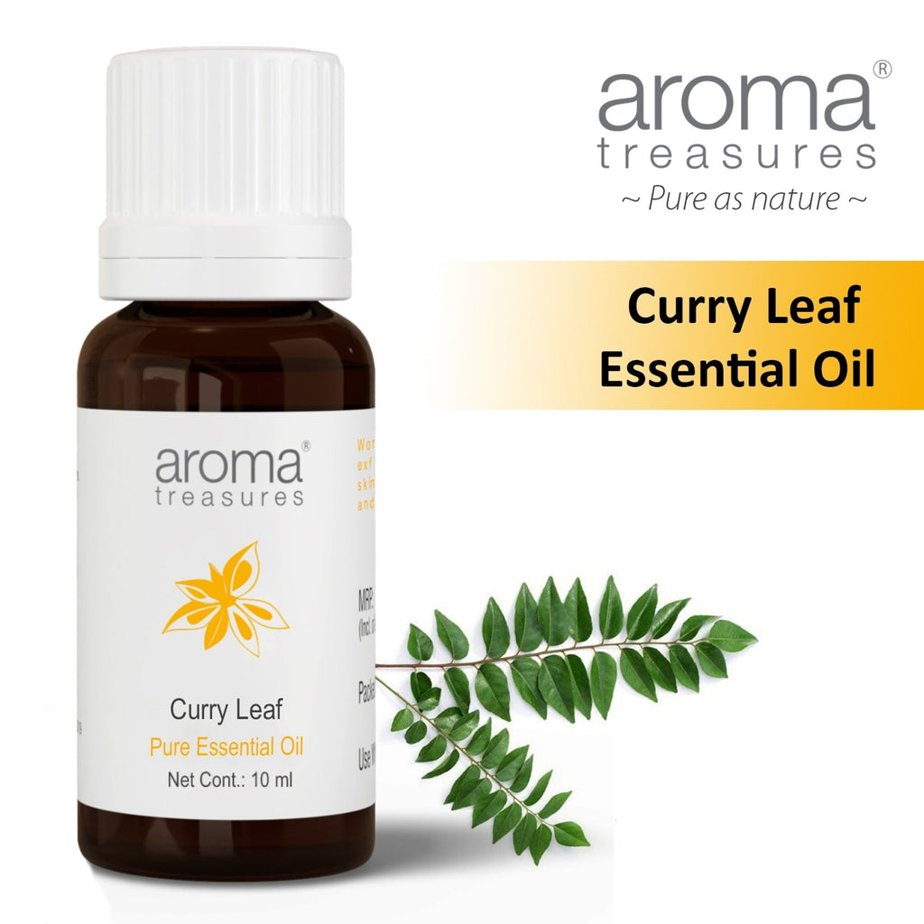 Aroma Treasures Curry Leaf Pure Essential Oil | Grocsy