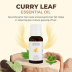 Aroma Treasures Curry Leaf Pure Essential Oil | Grocsy